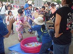 image/z-180845_maturi (23).jpg